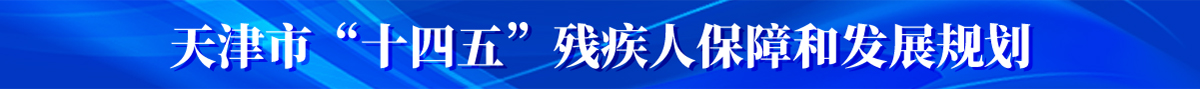 天津市十四五残疾人保障和发展规划