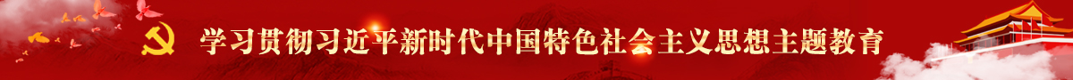 学习贯彻习近平新时代中国特色社会主义思想主题教育