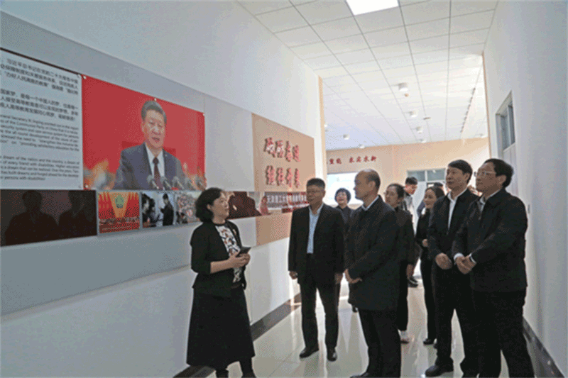 中国残联调研天津市残疾人工作